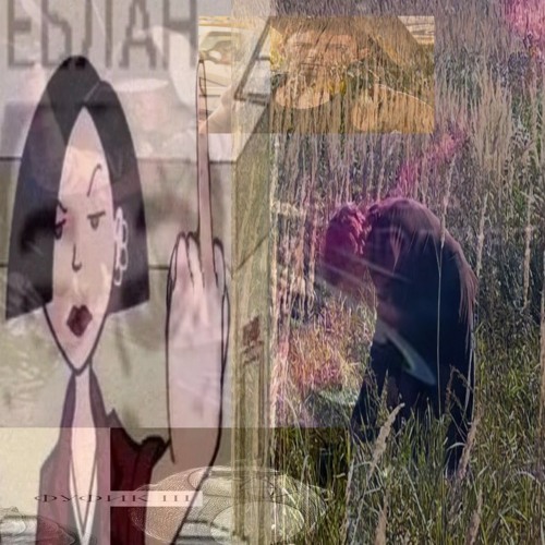 DJ УЕБИЩЕ (SUMASHEDSHIY DROP) germogen 4