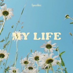 Spaveblux - My Life