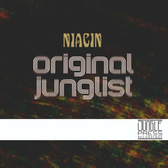 Niacin - Original Junglist (Original Mix)