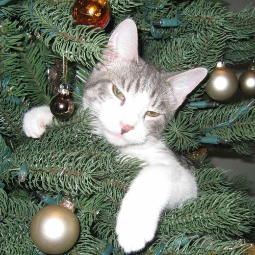 merrily in,.,.,.,