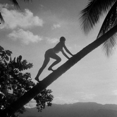 paradise shawty