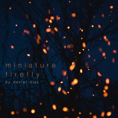 Miniature Firefly (disquiet0495)(naviarhaiku390)