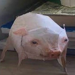 Кабанчик (EARRAPE)