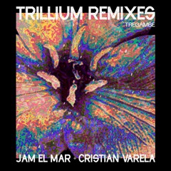 Premiere: Audioklinik - Trillium (Jam El Mar's Molekular Mix)[MSTR1]