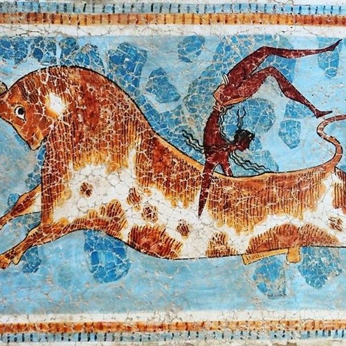 TAUROCATAPSIA visual data 2