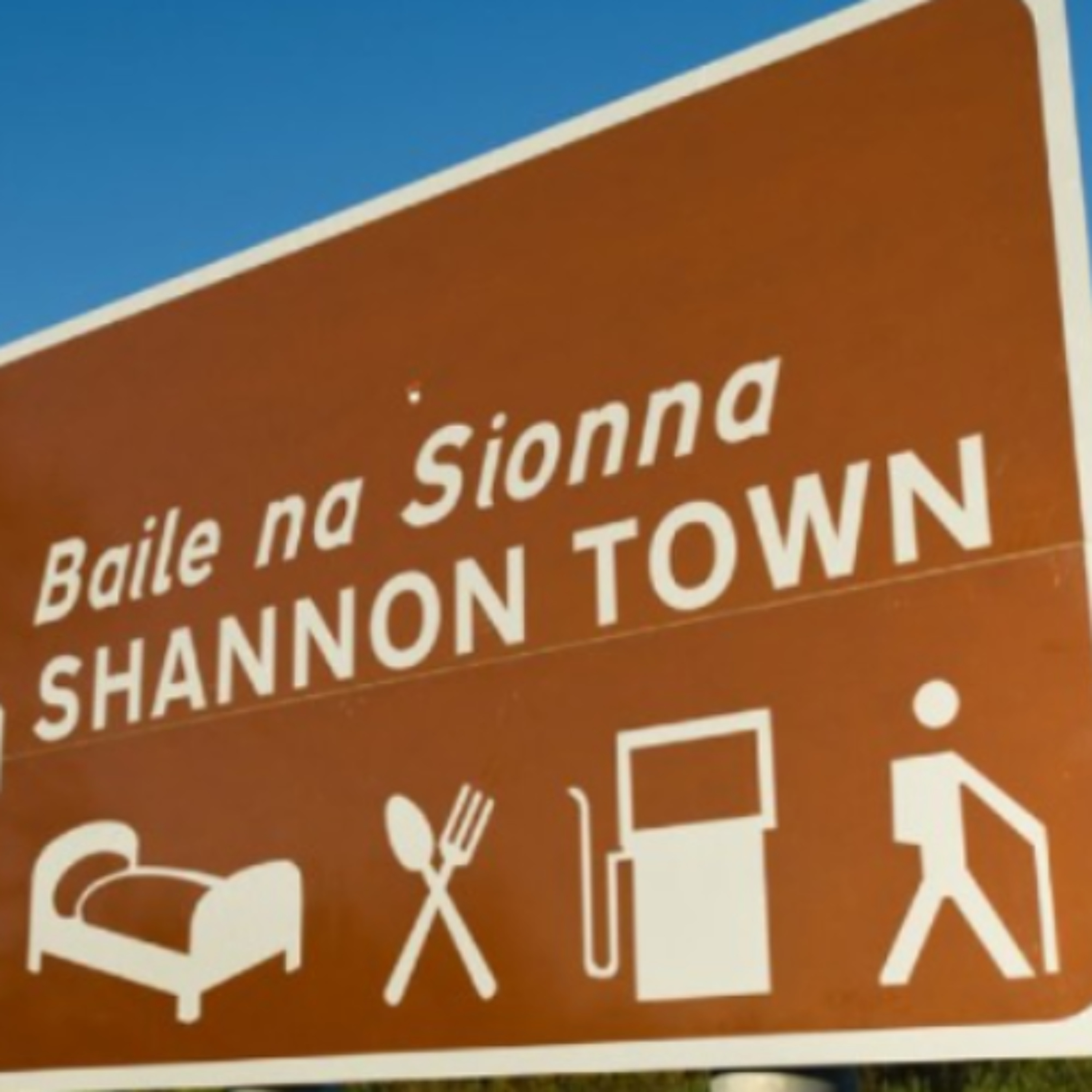 Road Safety Concerns In Shannon