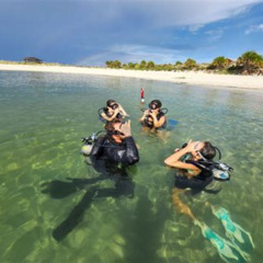 Review Special Price Panama City Scuba Diving Activity For Beginners