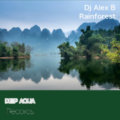 Dj Alex B - Boucan Canot (Original Mix) - (Preview)