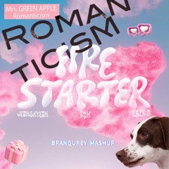 Firestarter vs. Romanticism (BRANQUREY Mashup)