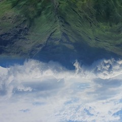 Freestyle Files Vol. 1 - 2020 Poem