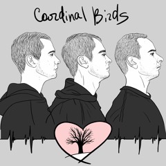 Cardinal Birds - One Tree Hill