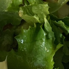 Symphony No. 32 Mov. III