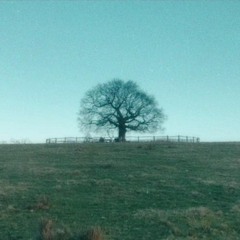 FREE] Clams Casino x Lil B x A$AP Rocky Type Beat