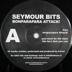 Seymour Bits - You Must Be The Bass