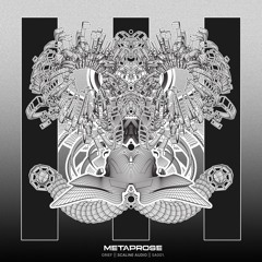 Metaprose - There Is No Qualifier
