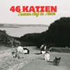 mira's 46 katzen tanzen |  acid bogen closing DJ mix artwork - Electronic music tracklist cover image