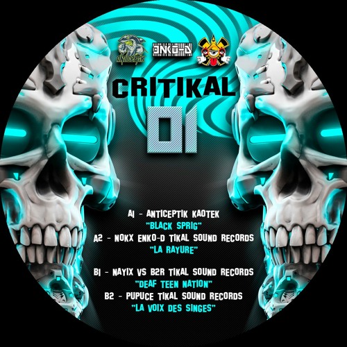 EXTRAIT B1 Nayix Vs B2R Tikal Sound Records - Deaf Teen Nation