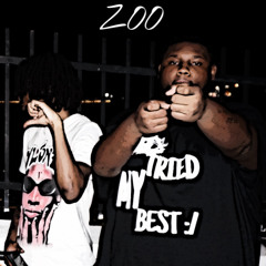 31mirr-Zoo (ft.1of1bray)
