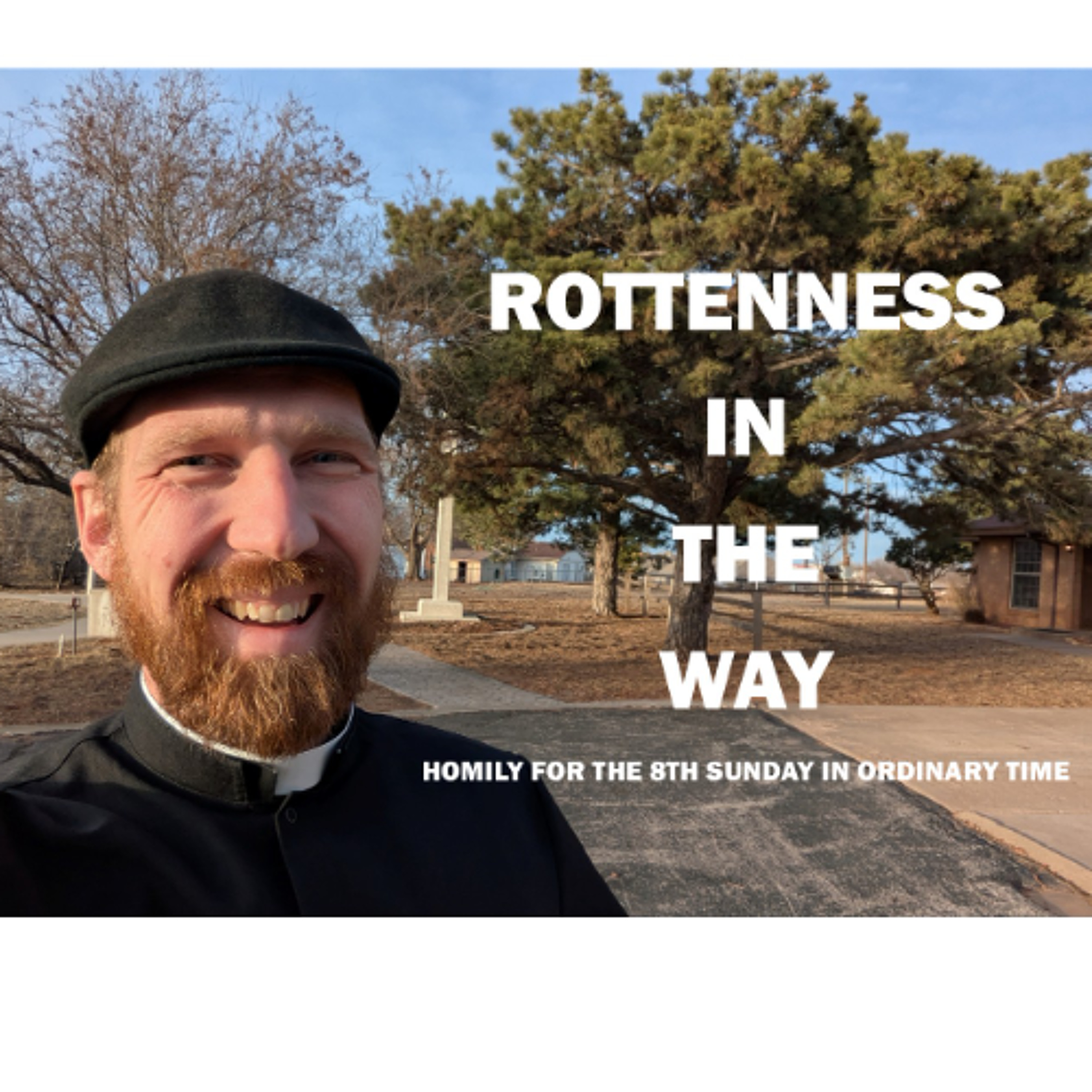 Rottenness in the Way (Homily for the 8th Sunday in Ordinary Time) episode artwork