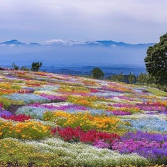 call me maybe - carley rae jepsen (piano)