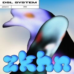 DSL System Podcast 11 - ZKHN