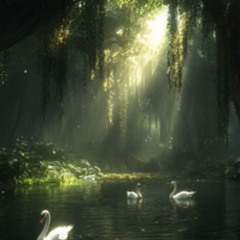 closed case (Feat. Baby9)