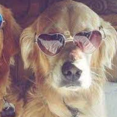 HUNTY HUMP, CODE10 - StripClub