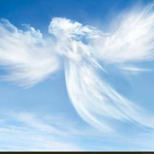 CAN YOU SPARE AN ANGEL