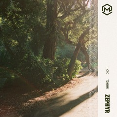 LOFI GUITAR BEATS 🎸