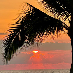 2025.11.23 - Sun Set 12 - Kona Vibes