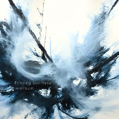 Echoing Stillness