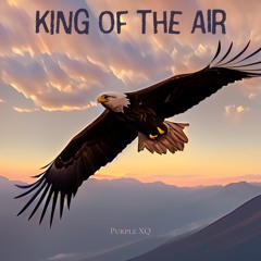 King Of The Air
