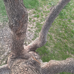 Here in Spirit by Jim James cover