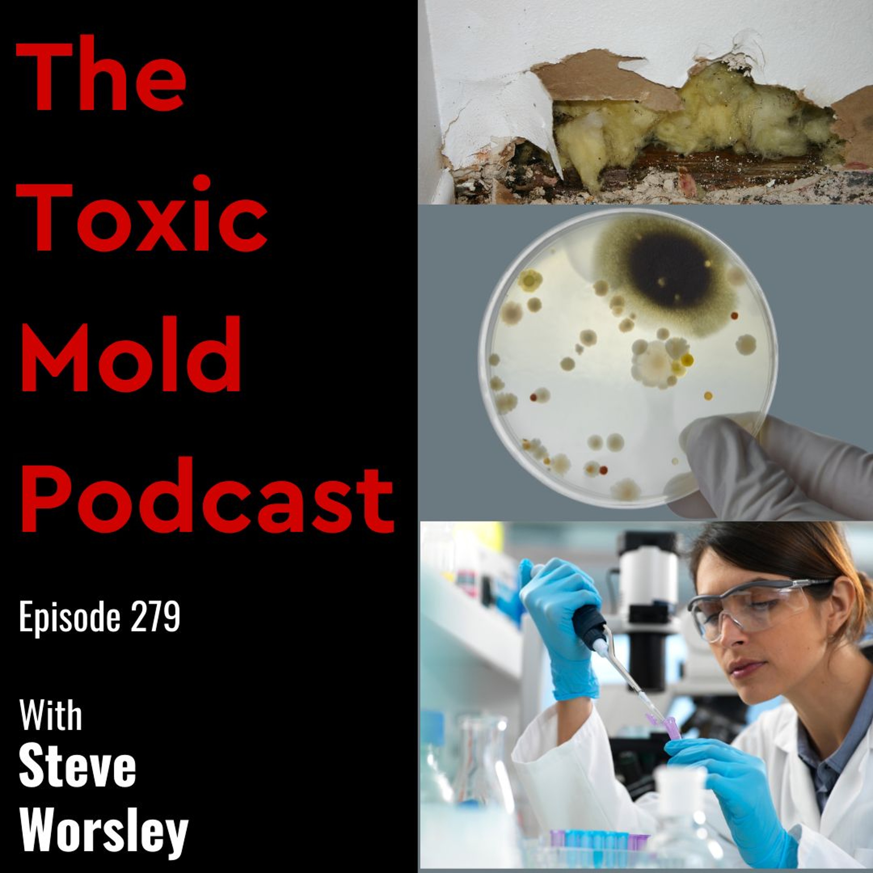 The Toxic Mold Podcast