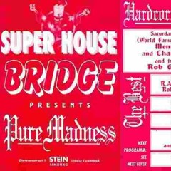Rob Gee, Charly Lownoise & Mental Theo @ Pure Madness - Bridge, Stein 16-03-1994