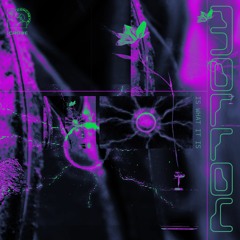 Molloy - Is What It Is [CR031]