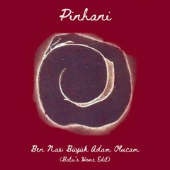 Pinhani - Ben Nası Büyük Adam Olucam (Batu's Home Edit)