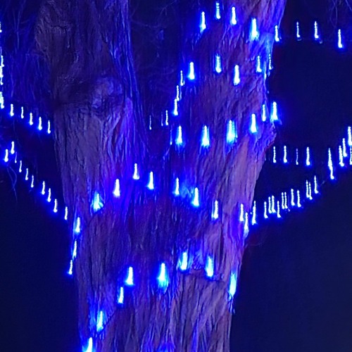 Juto - Bonnie and Clyde (REUPLOAD)