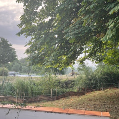 Rain and Thunder