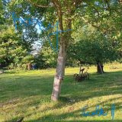 j'aurais voulu te dire