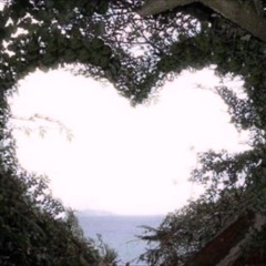TheHeart