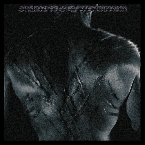 Submit to self destruction