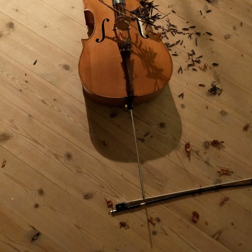 Solo Performance at Kirsten Kjær's Museum in Denmark