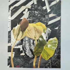 Getwings 1 sxhräg 2 wings3 lied 1