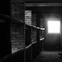 We Don't Need Another