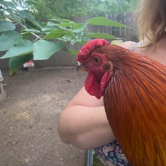 All the kids wanna fly but they got no shoes