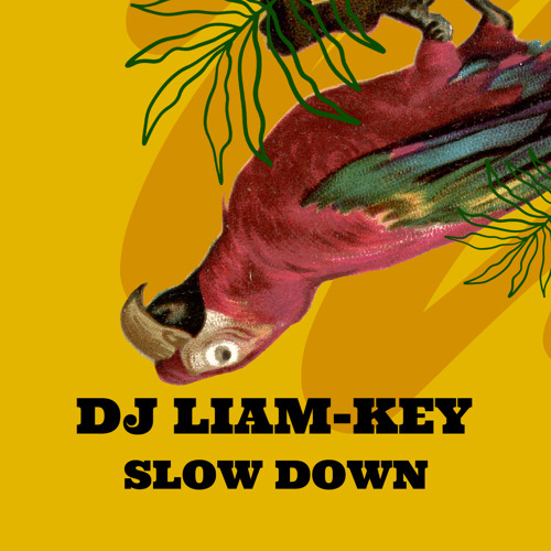 Stream SLOW DOWN by DJ LIAM-KEY | Listen online for free on SoundCloud