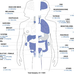 Comprehensive Genomic Testing Reveals Treatment Targets in 90% of Advanced Solid Tumors