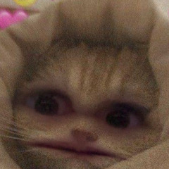 Kerosin auf dem Sofa