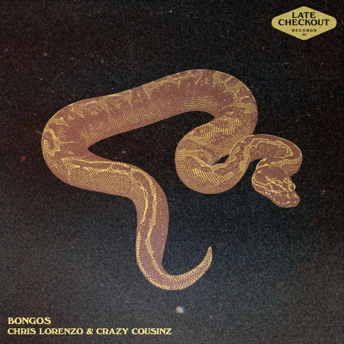 Chris Lorenzo x Crazy Cousinz - Bongos
